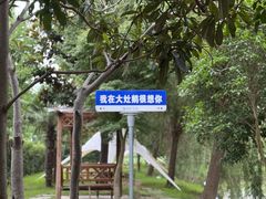-大队长大灶鹅