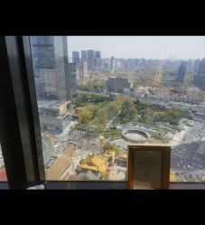 -丽尔美睫