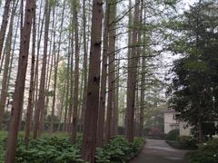 -上海虹桥迎宾馆