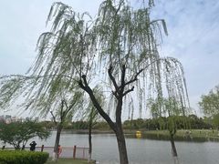 -黄兴公园