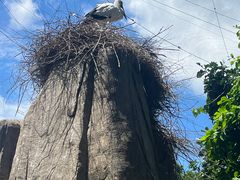 -哈尔滨北方森林动物园