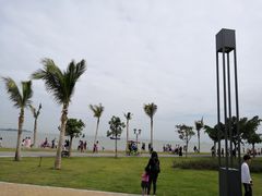 -野狸岛