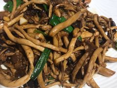 -金龙寨(解西店)