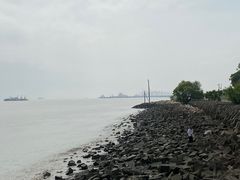-上海滨江森林公园