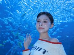 -海合安成都极地海洋公园