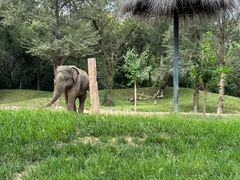 -北京野生动物园