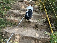 -宠福鑫动物医院(城北分院)