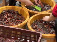 -可可大虾武汉土菜大排档(万松园1店)