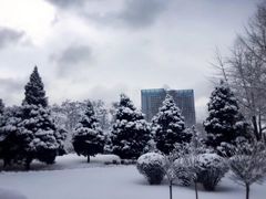 -辽宁大学(崇山校区)