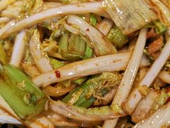 -华盛园卷子王农家菜水库鱼