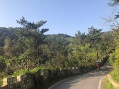 -木兰云雾山