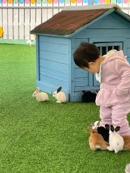 -萌宠亲子动物乐园(槐房万达店)