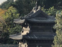 -颐和园