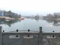 -漳河青花椒鱼头火锅