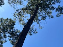 -竹上云想餐厅民宿