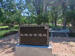 -曹州牡丹园
