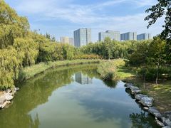 -大兴滨河森林公园