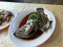 老虎斑-老字号蛇口德记烧腊饭店·海鲜加工