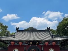 -江西龙虎山景区