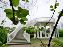 -橘子洲景区