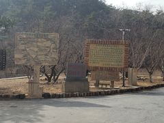 -金龙寺国家森林公园