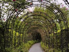 -福建鲤鱼洲酒店