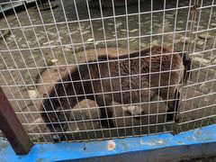 -武汉紫薇都市田园