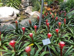 -北京植物园-展览温室