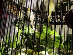 -清真京华源·涮肉烧烤(丰庆店)