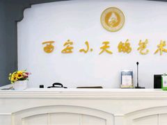 -西安小天鹅艺术团(金花路校区)