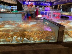 水产区-尚海豆捞(乐虹坊店)