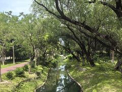 -北坞公园