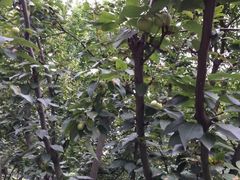 -白塘生态植物园