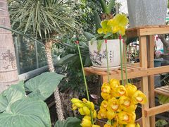 -国家植物园南园