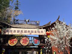 -呀路古热带植物园