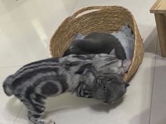 -甘尼仕印度餐厅酒吧(斜塘老街店)