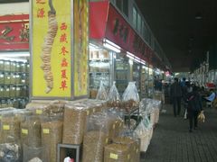 -清平中药材专业市场