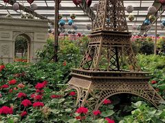 -南宫五洲植物乐园