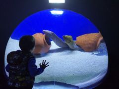 -江和美海洋公园