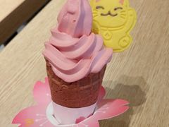樱花小红莓华夫筒-麦当劳(SM城市广场店)