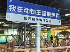 -海合安武汉极地海洋公园