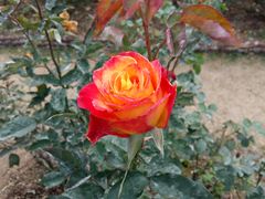 -人民公园(罗湖区)