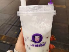 -一只酸奶牛(八一路店)