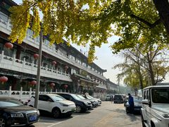 -南来顺饭庄·清真(南菜园店)