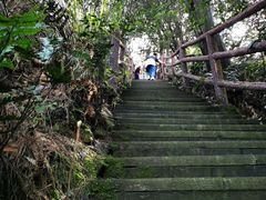 -缙云山景区