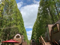 -黄海国家森林公园