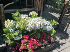 -慢丽江·云南野生菌土鸡锅(西山店)