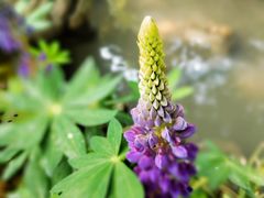 -成都杜甫草堂博物馆