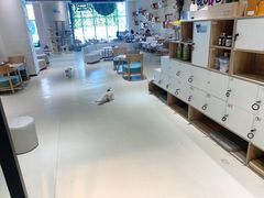 -藏猫猫咖啡主题馆(中央大道店)