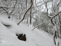 -紫金山山顶公园